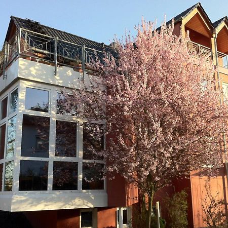 Gaestehaus Kirschgarten Bodenheim Zewnętrze zdjęcie